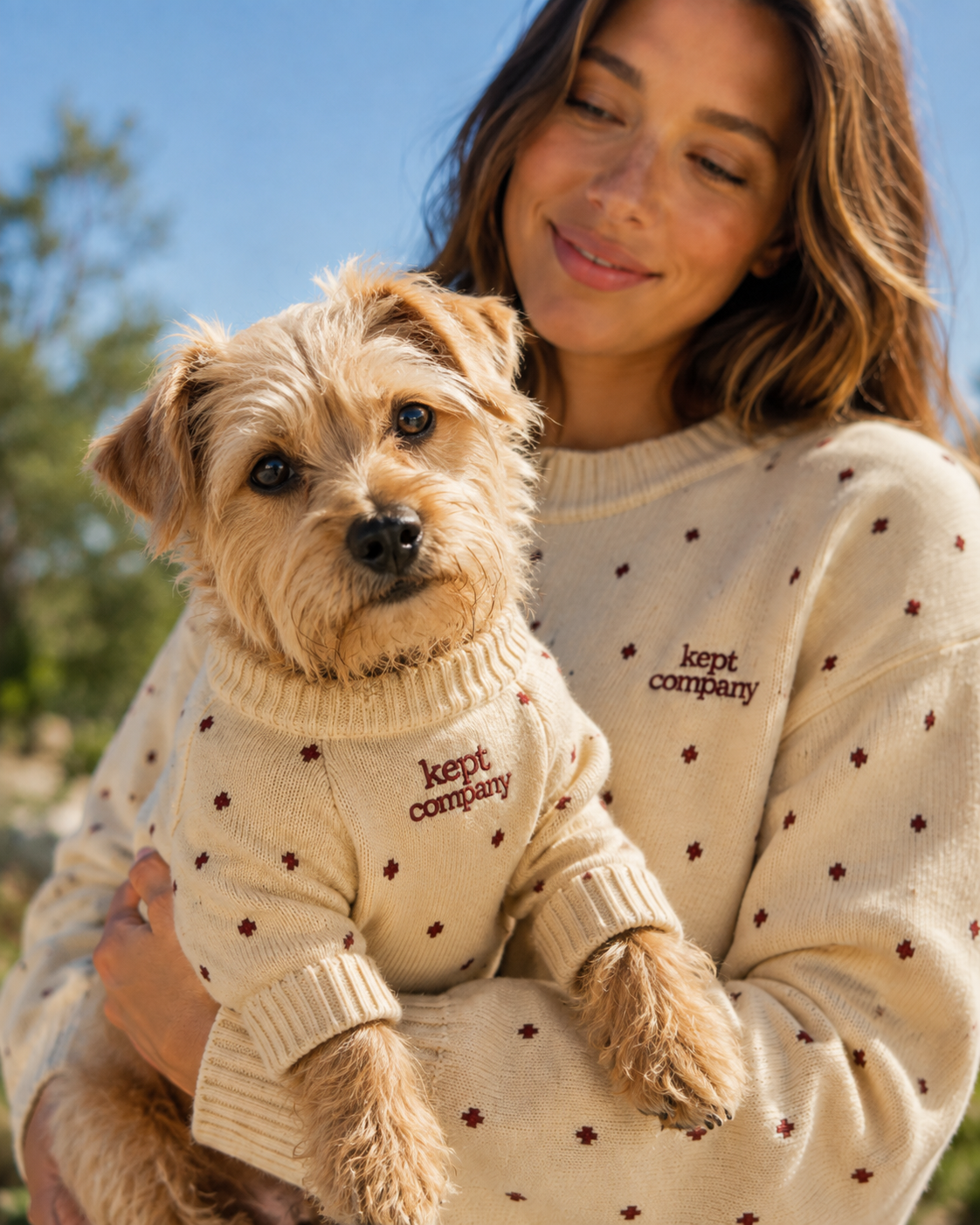the dog sweater